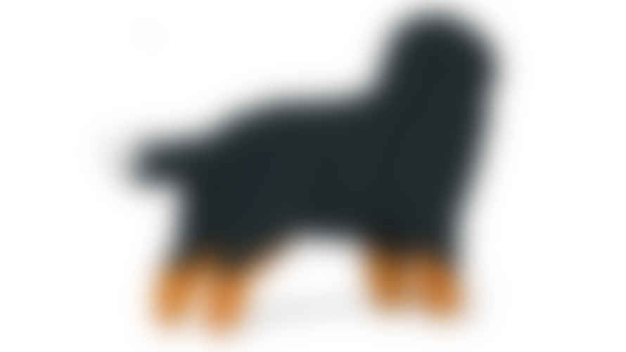 Jekca 1660 Pcs Bernese Mountain Dog 03sb