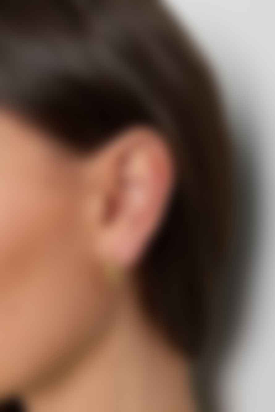 Les Cléias Acier Inoxydable Boucles D'oreilles Tilla - Acier Inoxydable