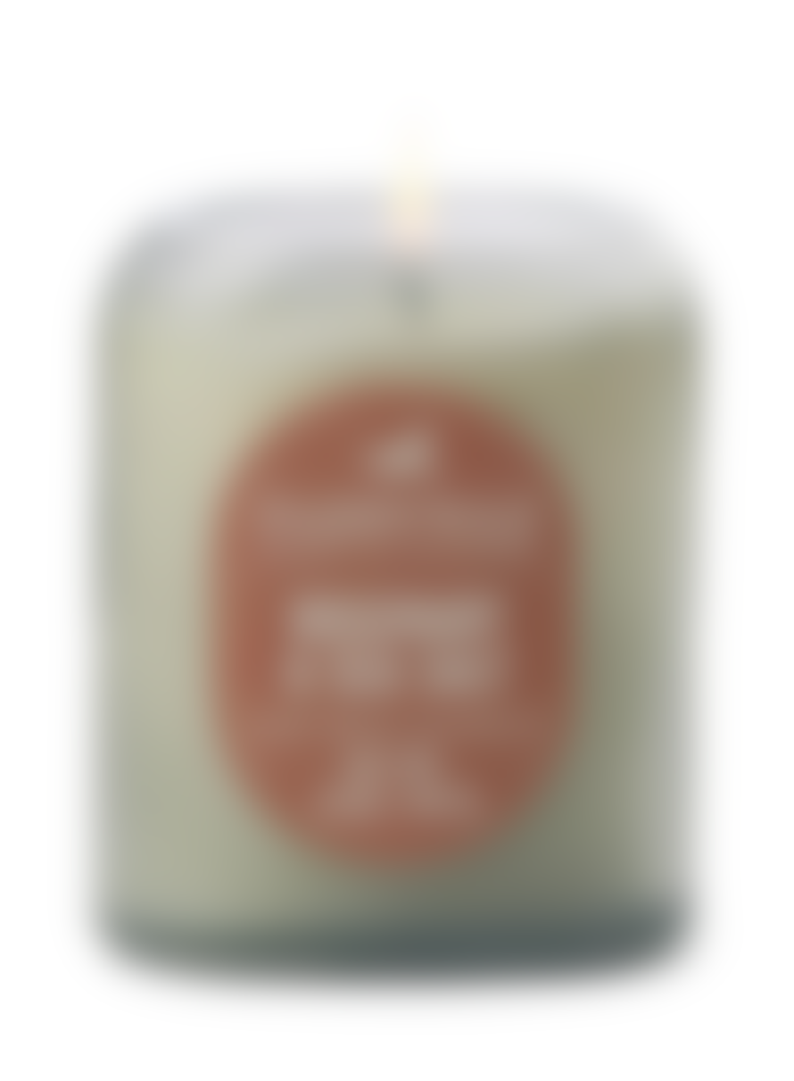 Paddywax Vista Glass Candle In Rosemary & Sea Salt 5oz From Paddywax
