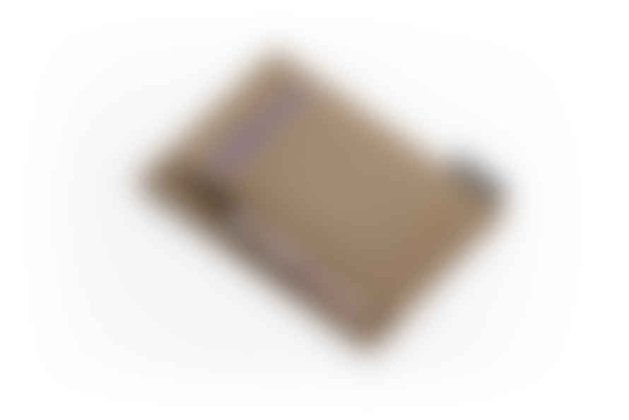 Hayashi Vegan Paper Leather Card Case in Tan Colour