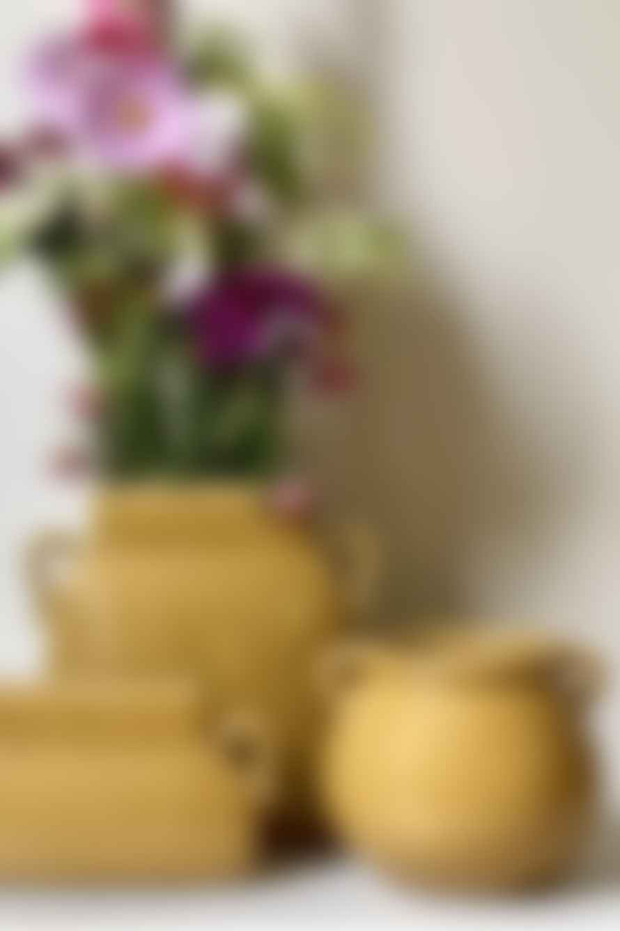 Vanilla Fly Ceramic Vase With Handle
