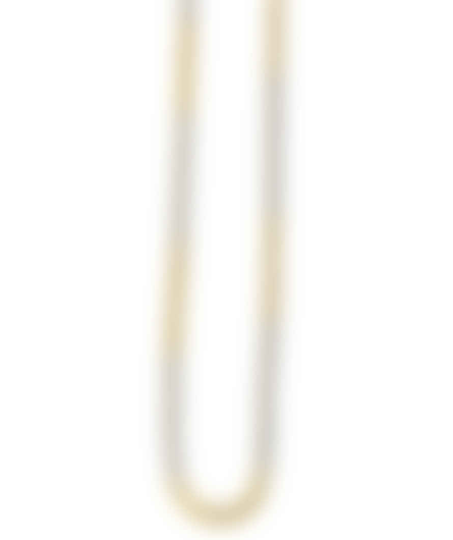 Urbiana Two Coloured Chain Necklace