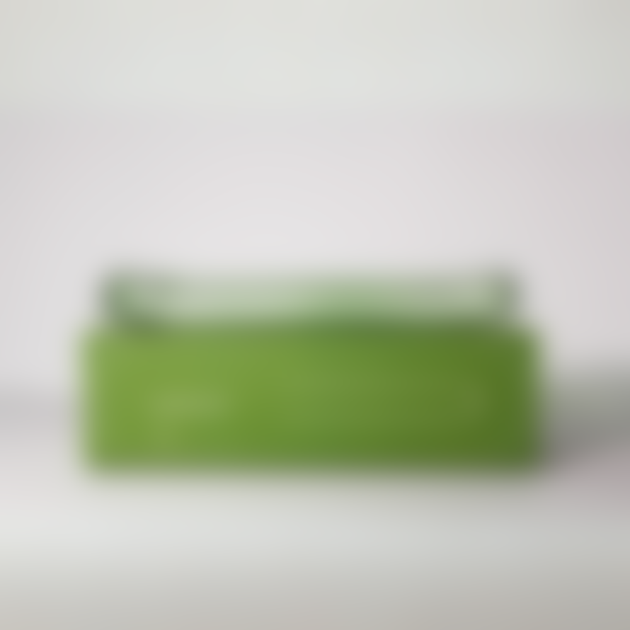 Maegan Lilo Glass Incense Holder - Green