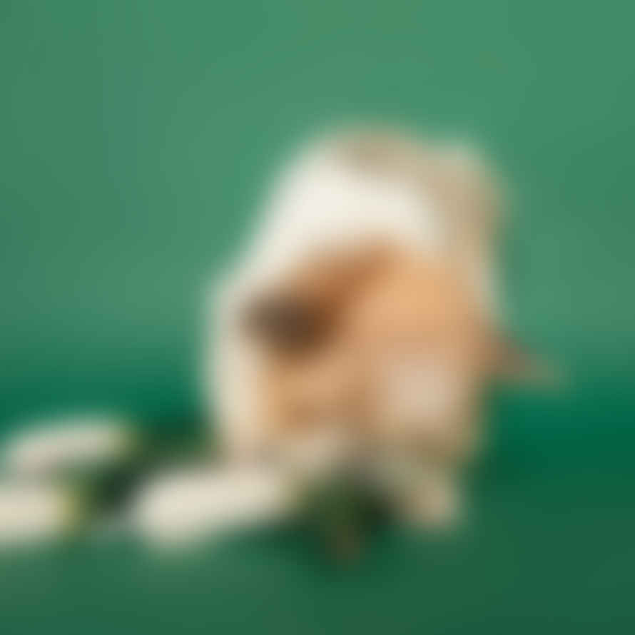The Furryfolks Green Onion Nosework Dog Toy