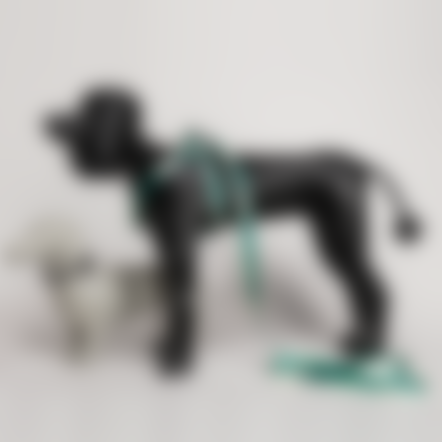 Eddgy Small 100 Percent Recycled Maximus Dog Harness
