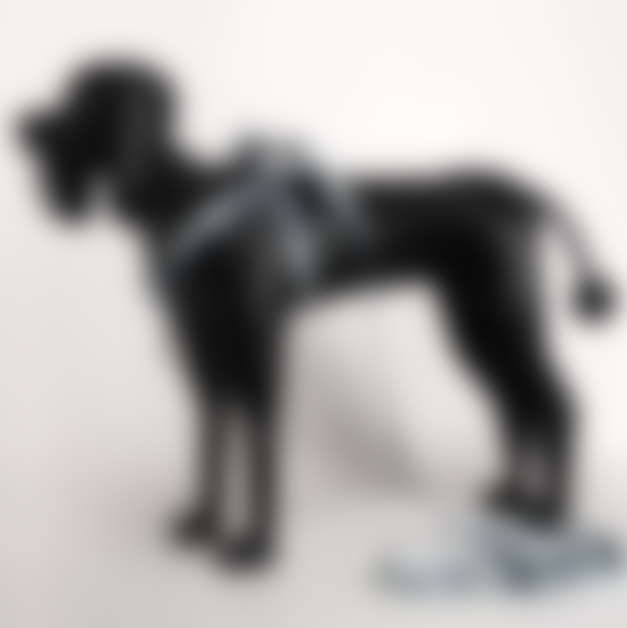 Eddgy Medium 100 Percent Recycled Skye Dog Harness