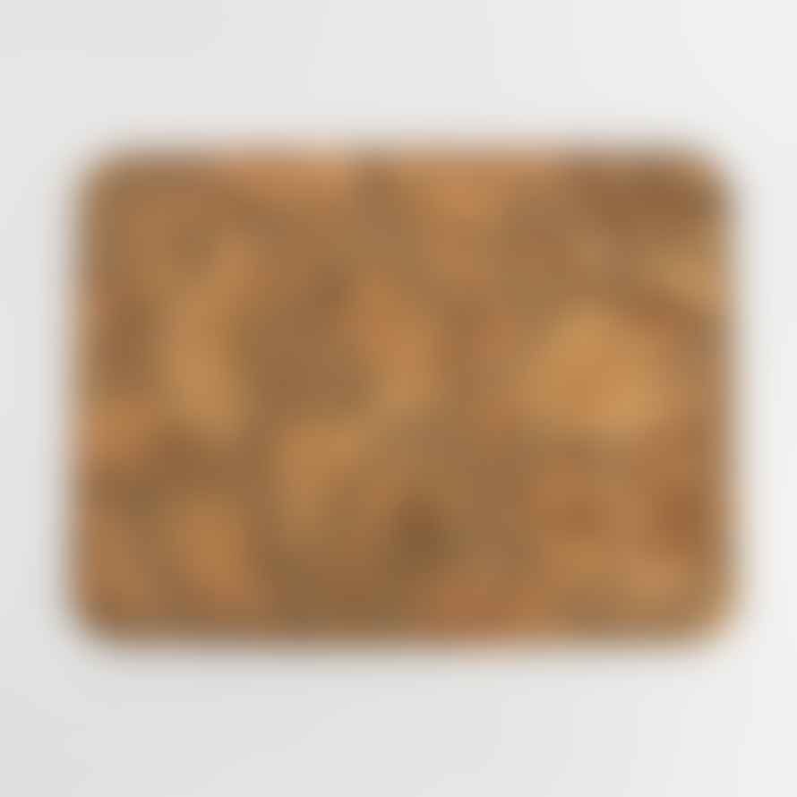 LIGA Set Of 6 Natural Cork Placemats + Coasters | Rectangle + Square