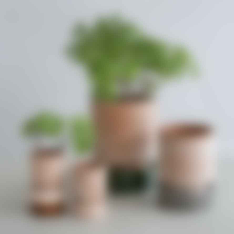 Bergs Potter Terracotta Plant Pot & Saucer In Soft Rose