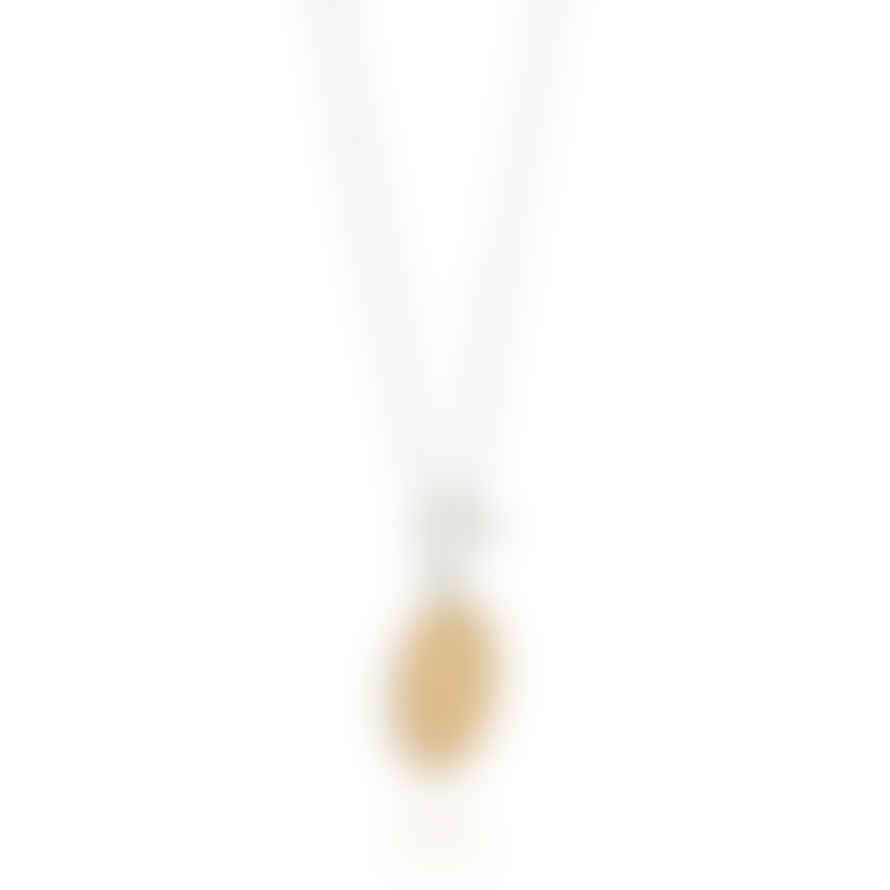 Anna Beck Contrast Dotted Circle Toggle Necklace - Gold/silver