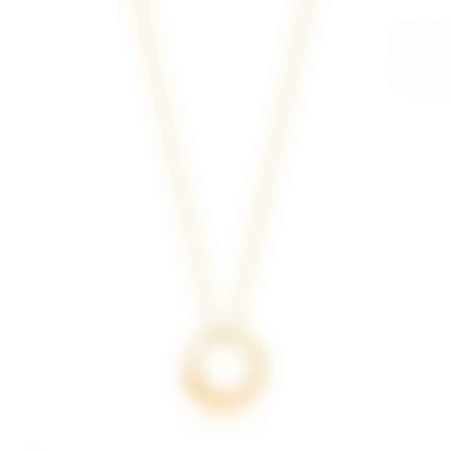 Ania Haie Gold Luxe Circle Necklace