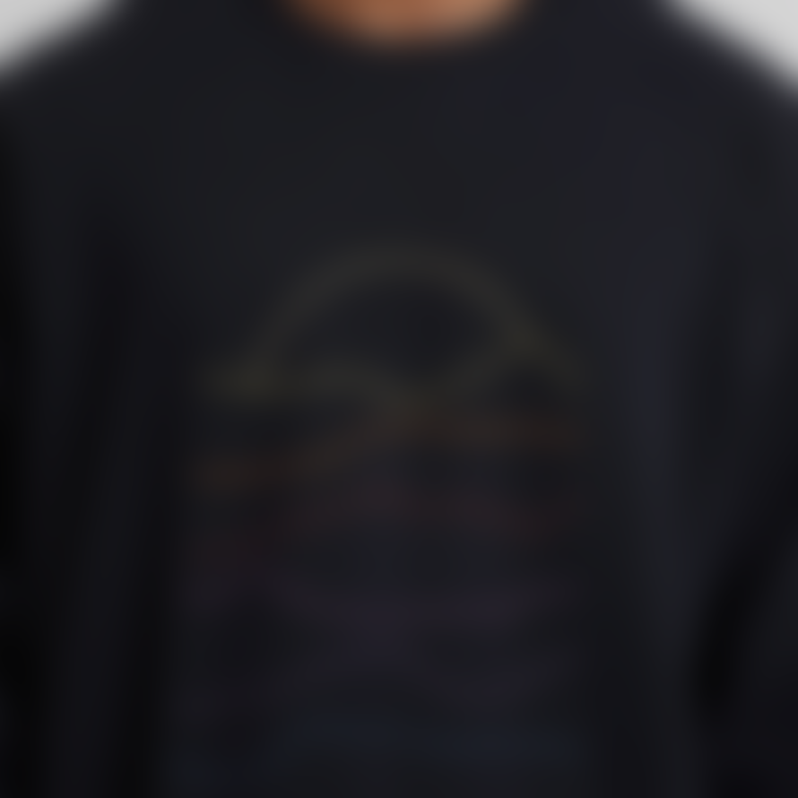 dedicated Sweatshirt Malmoe Sunset Lines Emb Black