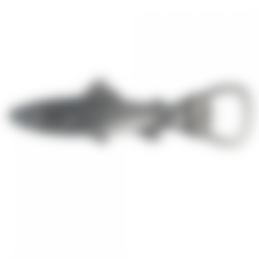 Rex London Bottle Opener Stainless Steel Fish Shaped