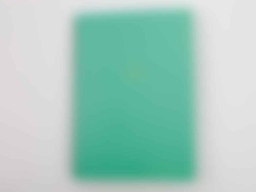 Midori - Ring Notebook - A5 Colour Dot Grid - Green