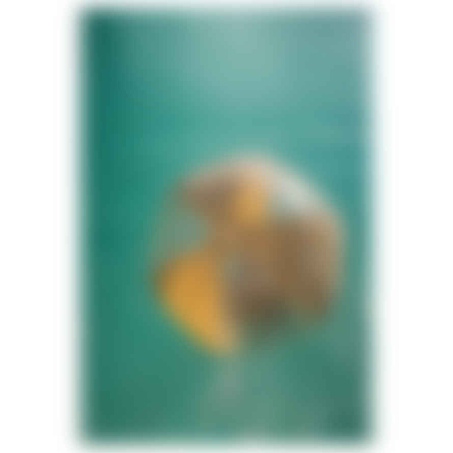 Konges Slojd (KS100141) Beach Ball Large - Multi Cherry Blush Transparent