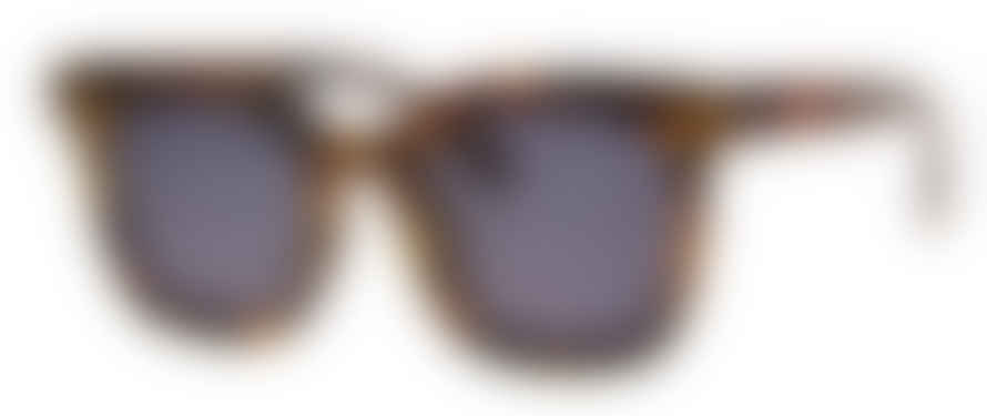 AJ MORGAN Line Up Tortoise Sunglasses