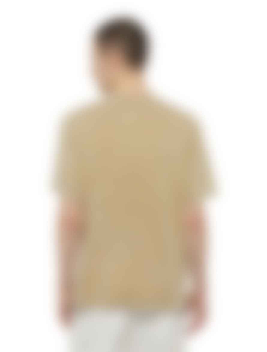 Dickies T-Shirt Newington Uomo Sandstone