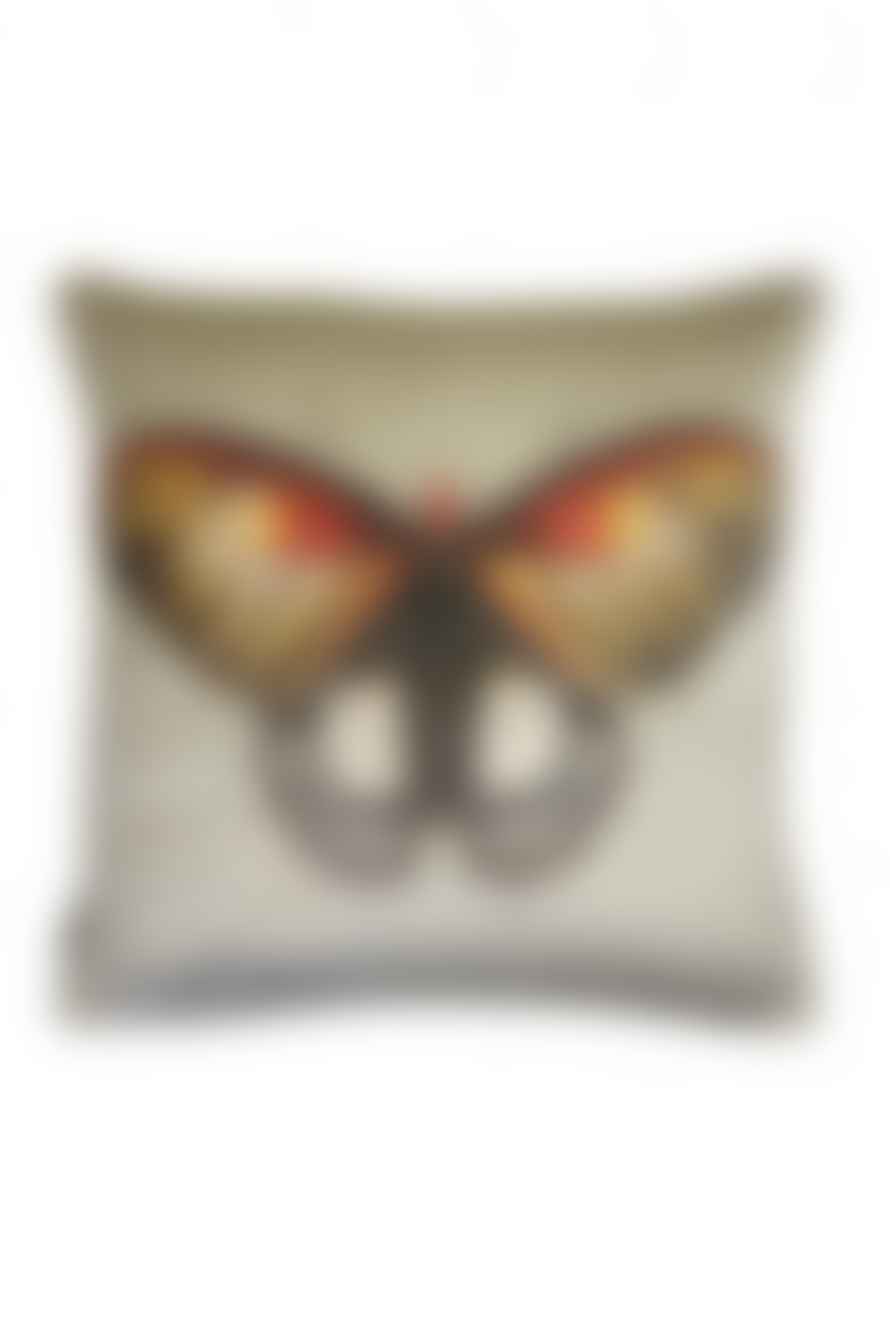 Vanilla Fly Large Butterfly On Biscotti Cushion