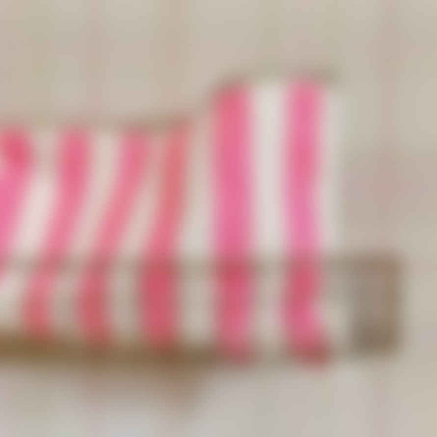 ROSE IN APRIL Lili Neon Pink Stripe Print Pouch