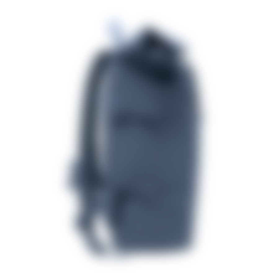 Got Bag Monochrome Bay Blue Rolltop Bag
