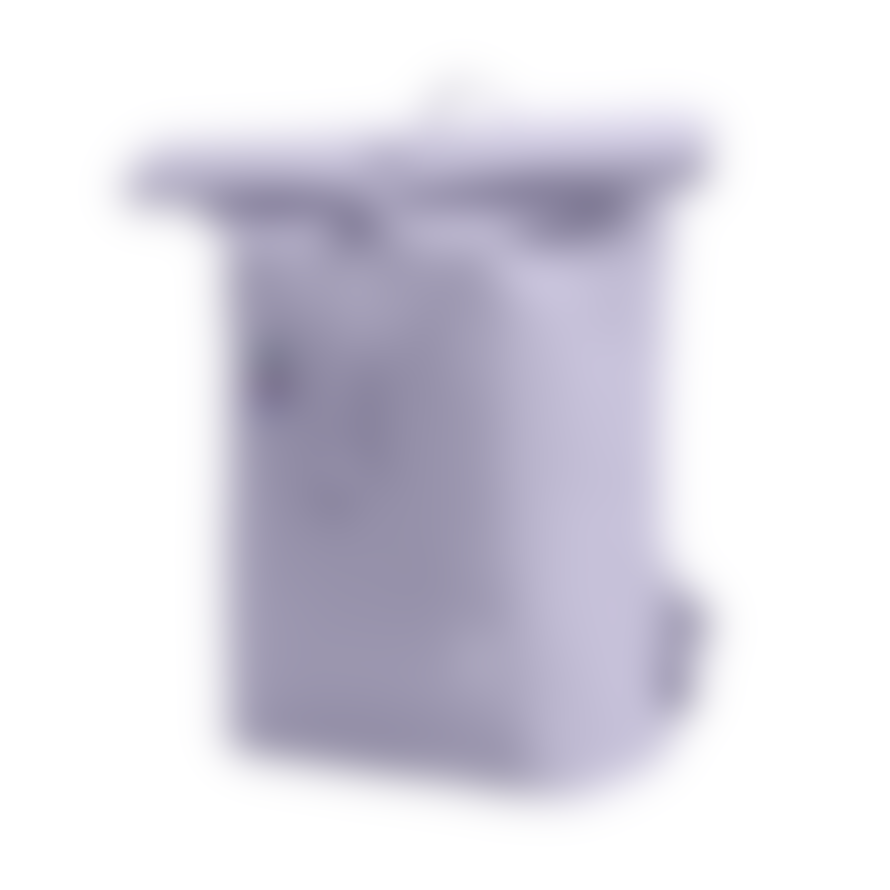 Got Bag Purple Pearl Rolltop Lite Bag