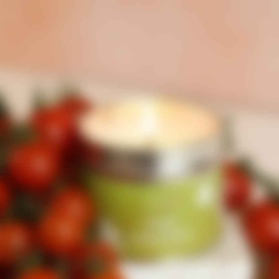 Pintail Single Wick Vine Tomato Candle