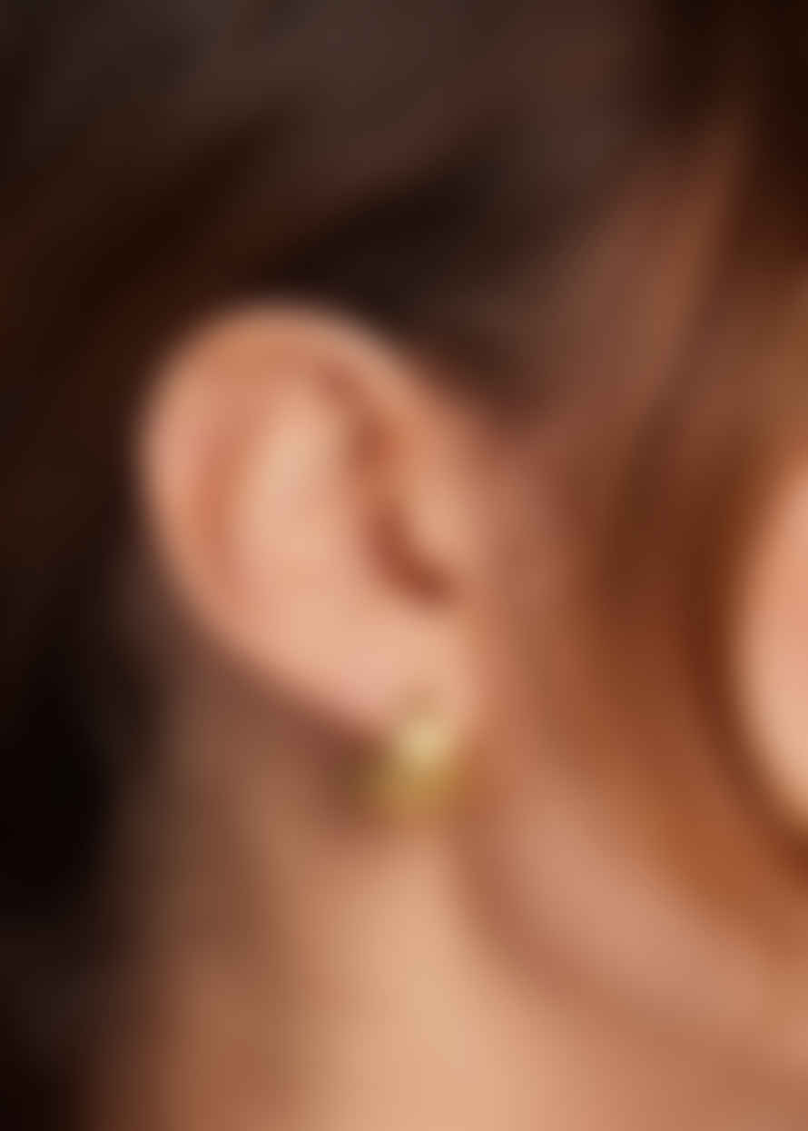 Orelia Scallop Fan Earrings