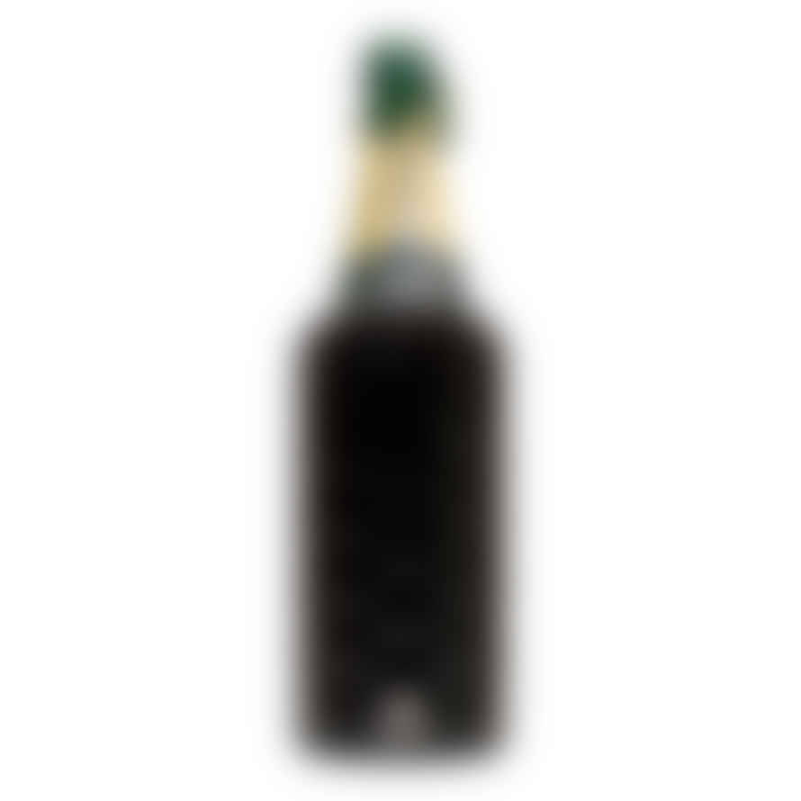Uberstar Champagne/wine Bottle Cooler With Lid - Black