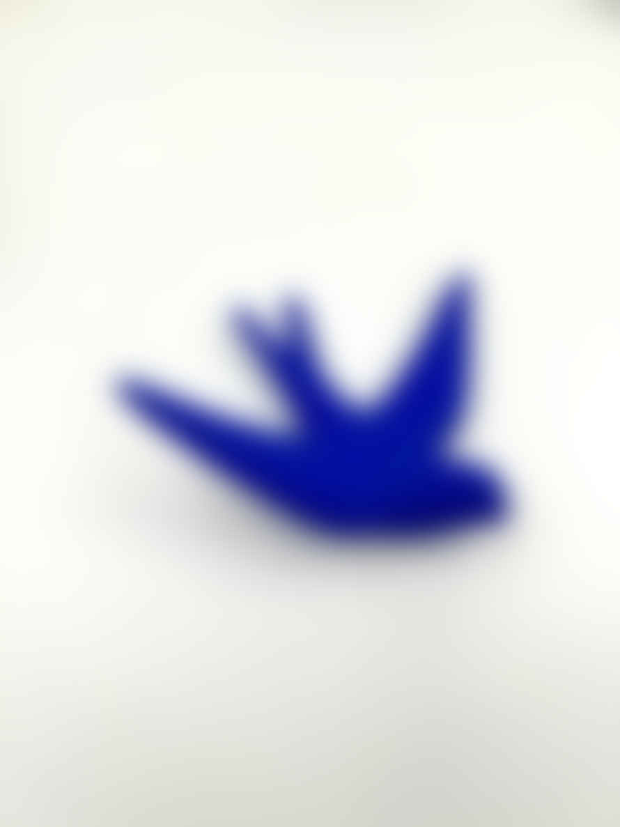 monochromic Bleu Klein Hirondelle