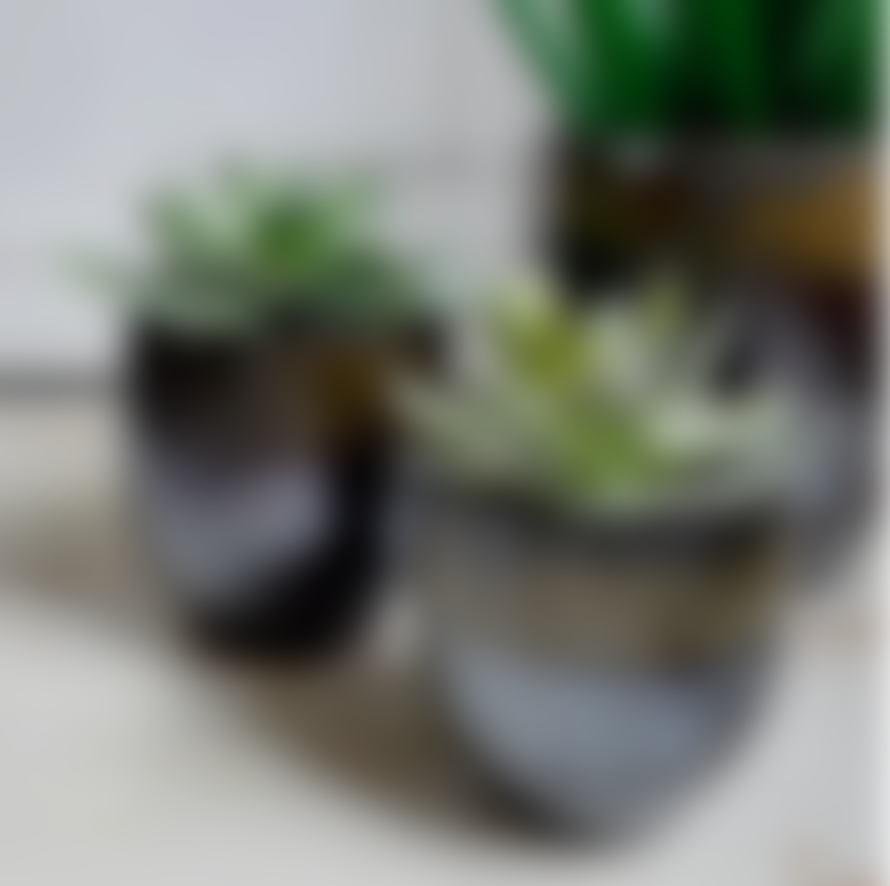 Serax Indoor Plant Pots with Black Blue Glaze