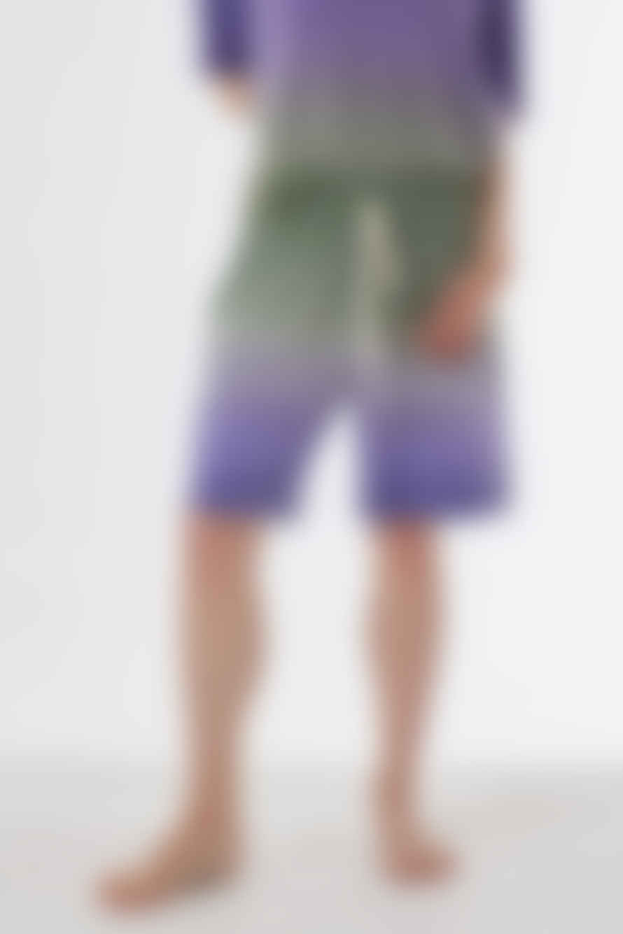Daniele Fiesoli Linen Faded Design Shorts Green/purple