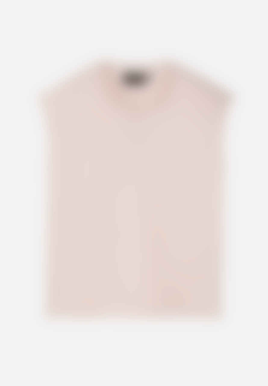 Recolution Zinnia Stripes Blush Rose T-shirt