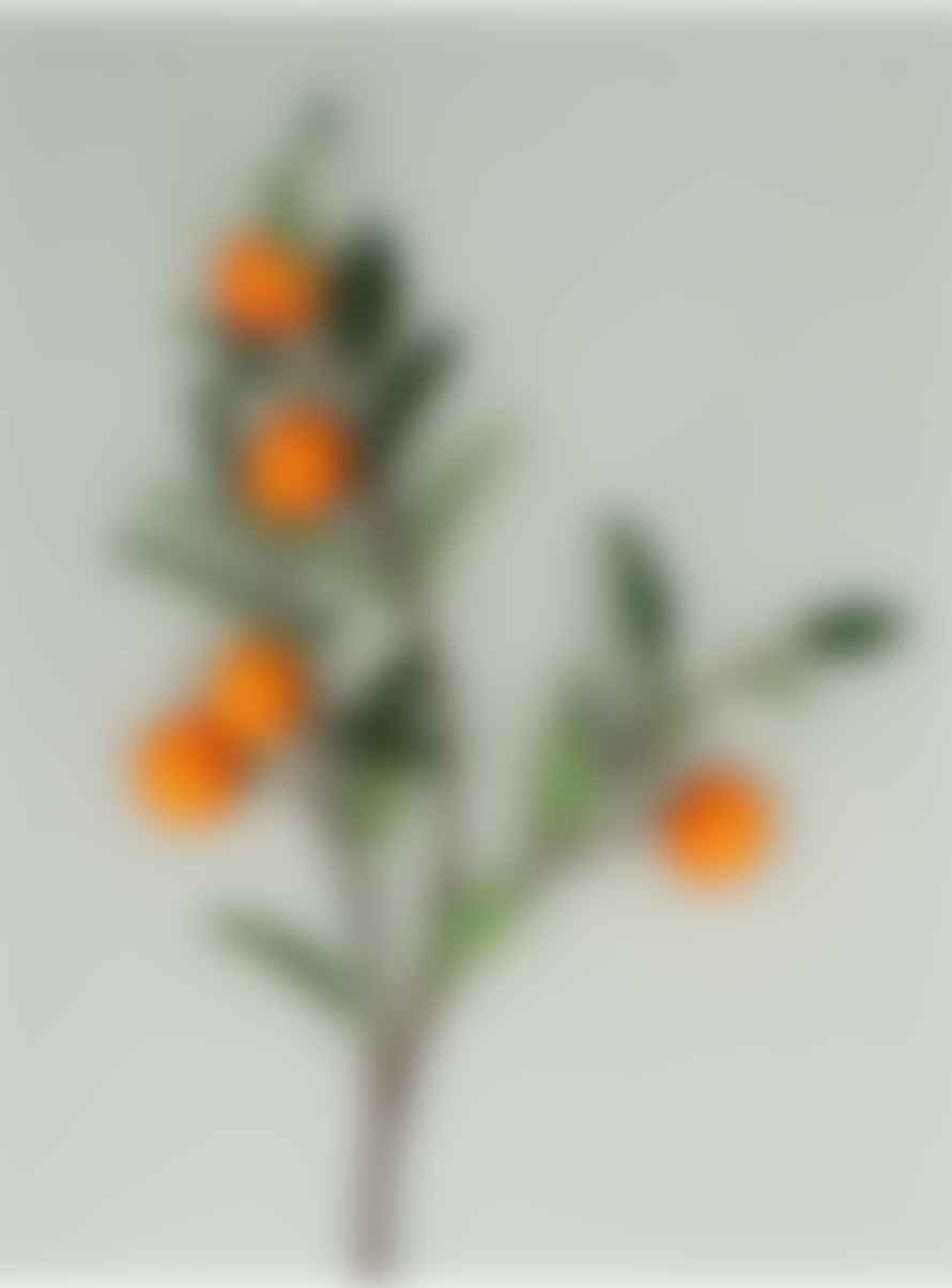 Gisela Graham Decorative Clementine Branch