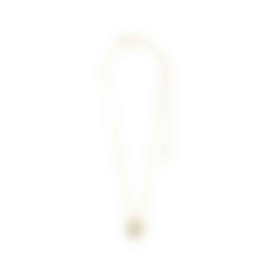 Pilgrim Bloom Coin Necklace - Gold
