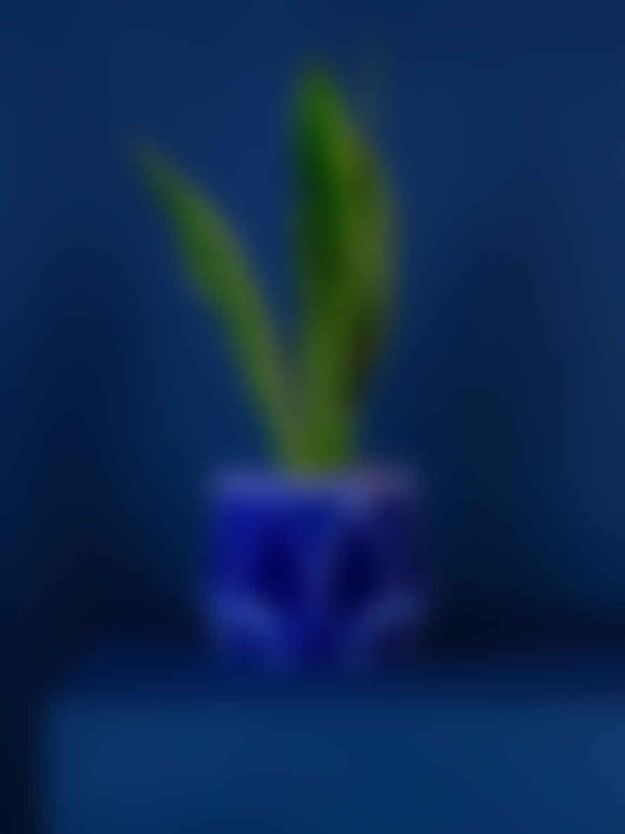 POTR 18cm Self Watering Plant Pot Blue