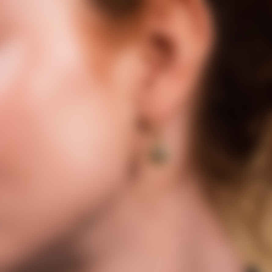 Ashiana Asia Labradorite Earrings