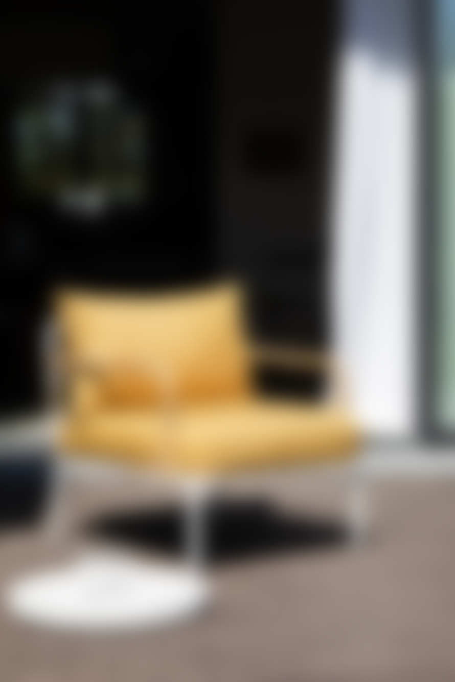 12 Rene Barba Lounge Chair White & Ocher