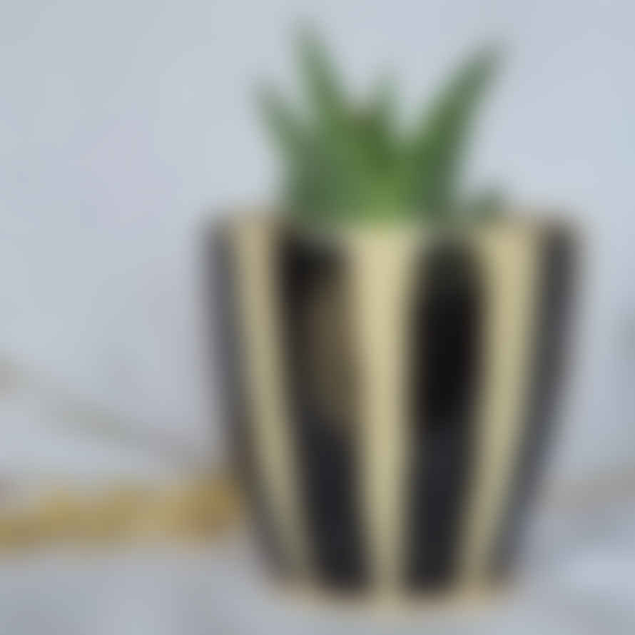Charlotte Manser Ceramics 8cm Stripe - Black And White Handmade Ceramic Plant Pot