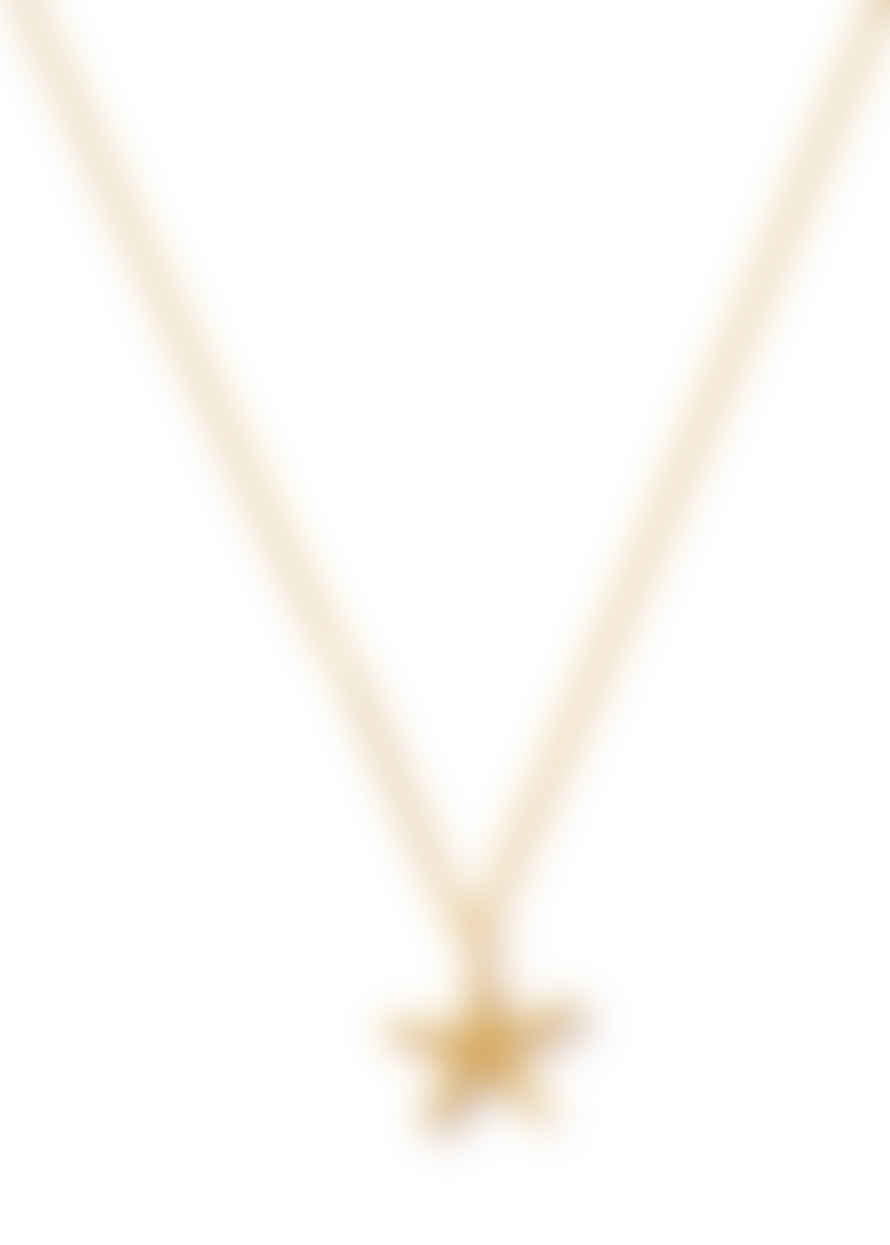 Orelia Starfish Charm Necklace - Gold