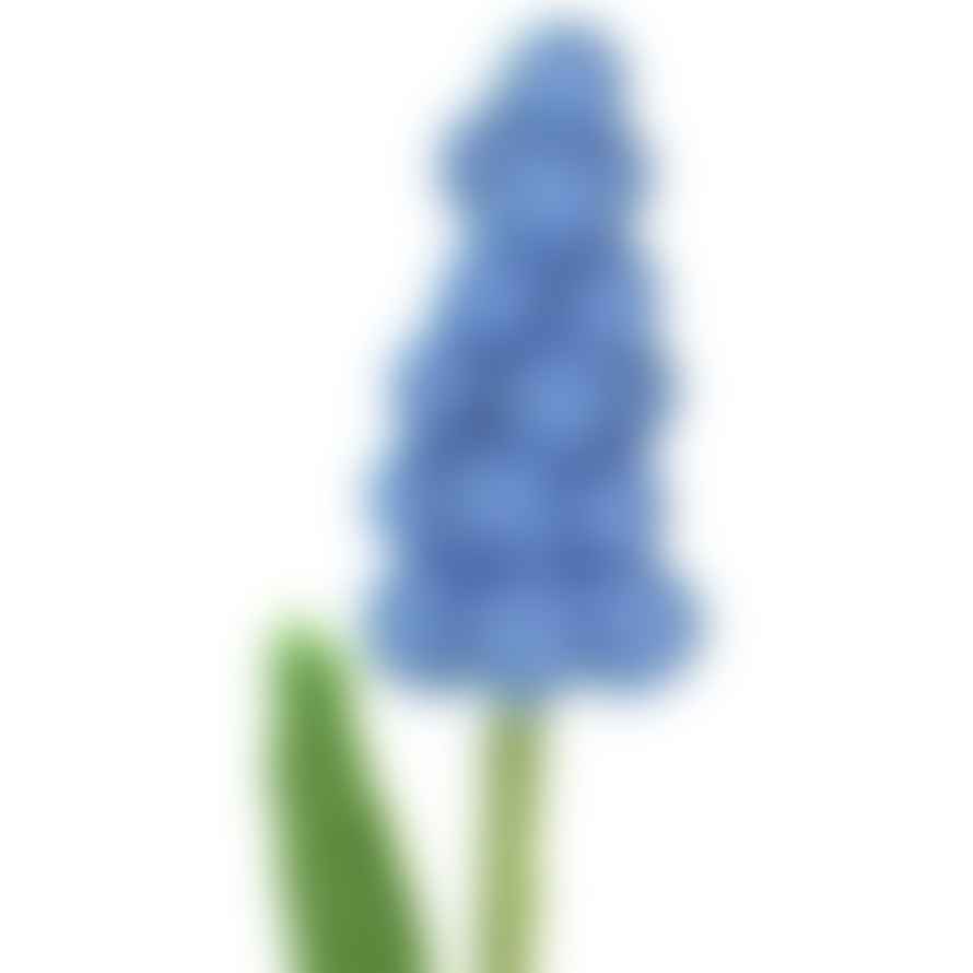 Sjaal met Verhaal Felt Flower - Grape Hyacinth