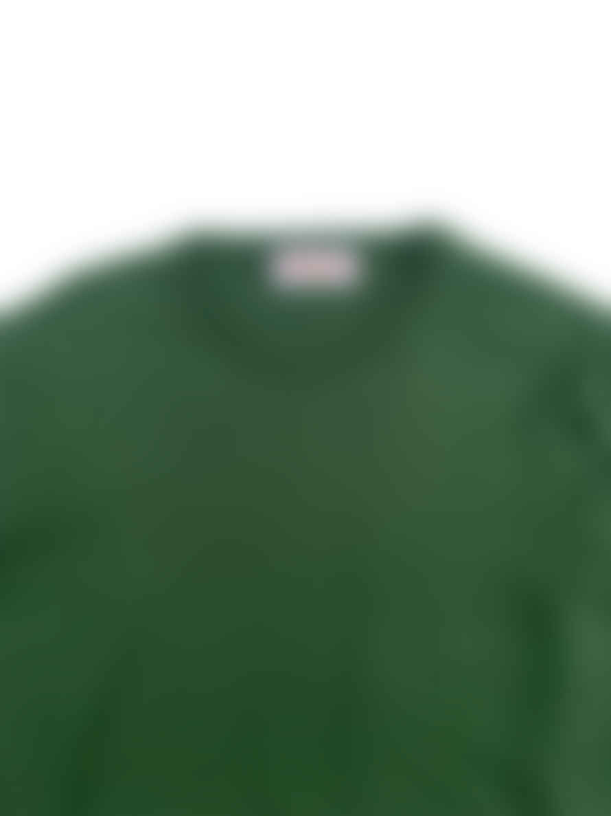 Fresh Tom Extra Fine Cotton Crew Neck Sweater In Green