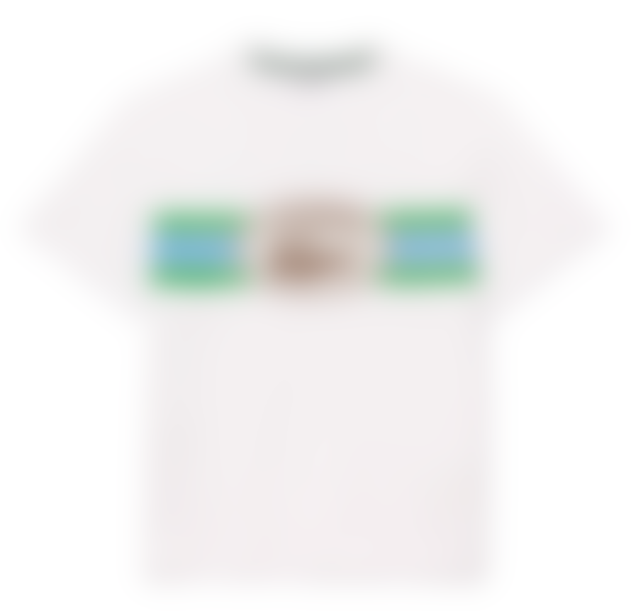 Lacoste Lacoste Regular Fit Cotton Printed Monogram Tee White, Green & Blue