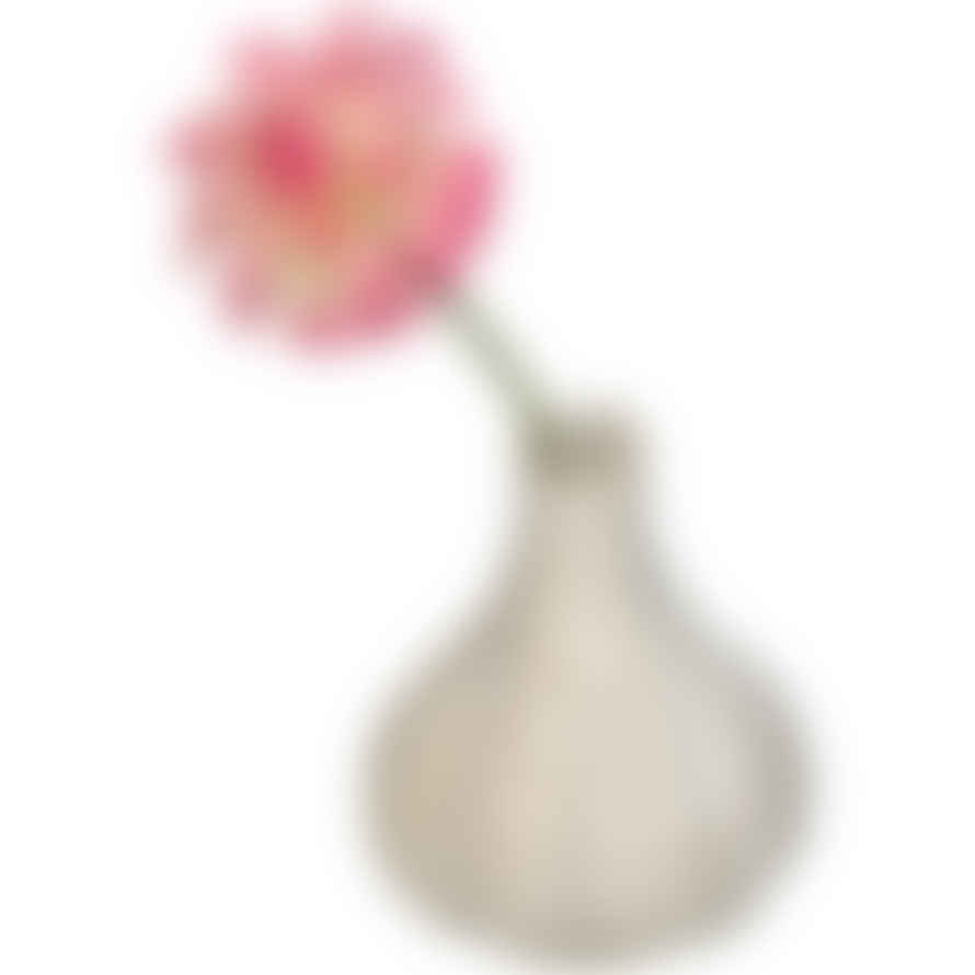 Kersten Garlic Clove Shaped Vase