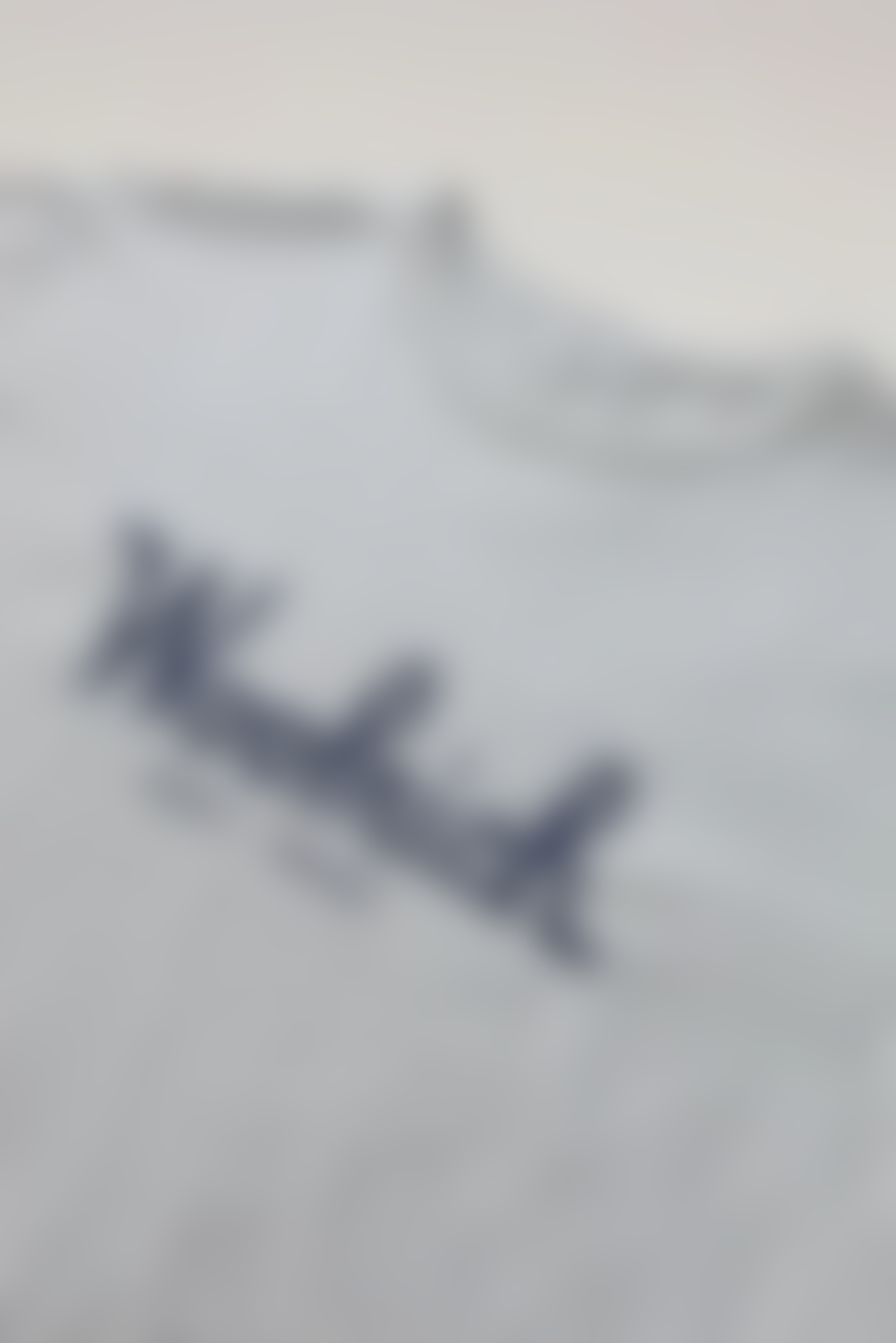 Woolrich Male Embroidered Logo Tee Light Grey