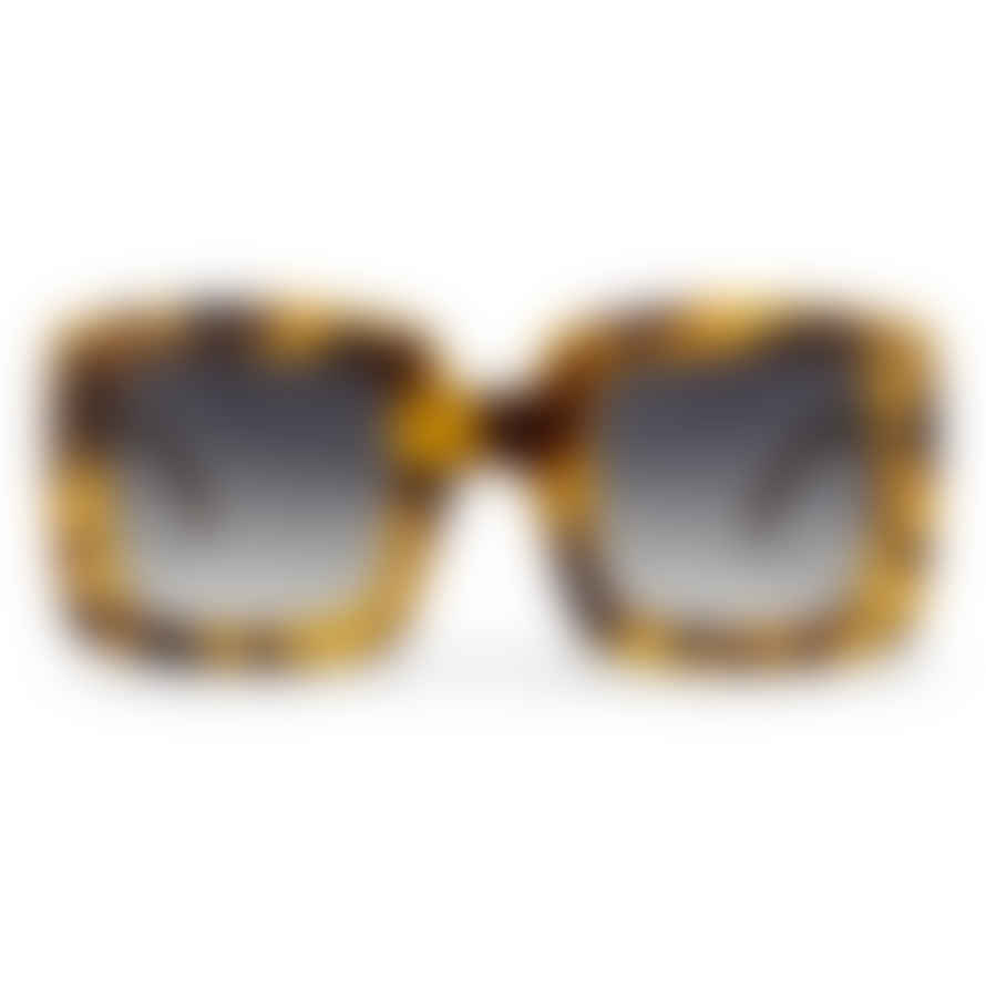 CollardManson Chpo - Sunglasses - Bengan Leopard