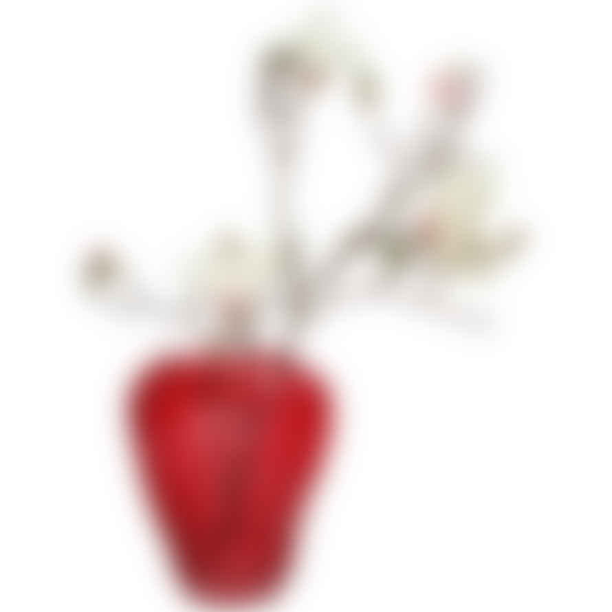 Kersten Strawberry Glass Shaped Vase : Tall