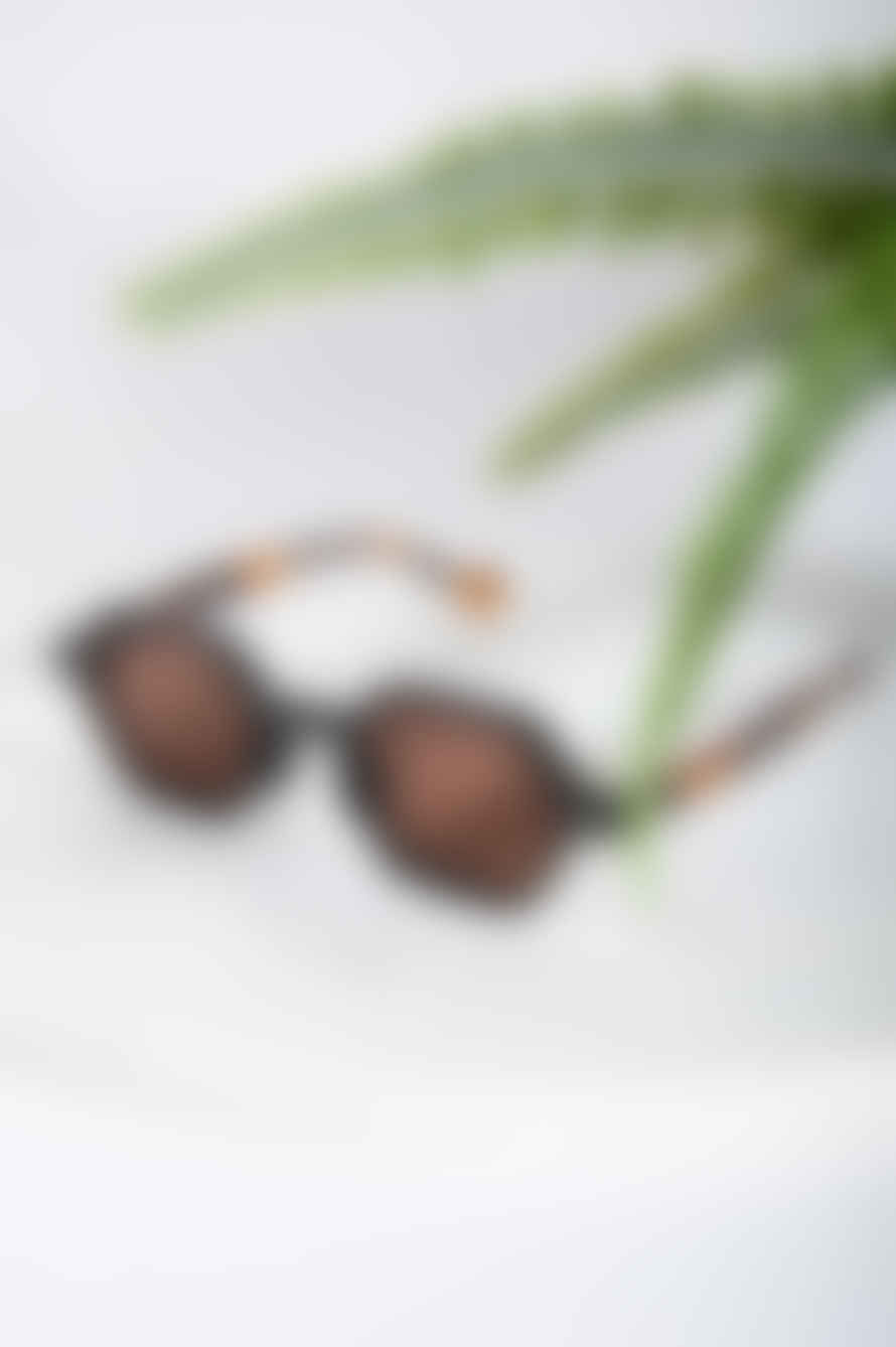 24 COLOURS Denver Sunglasses - Brown