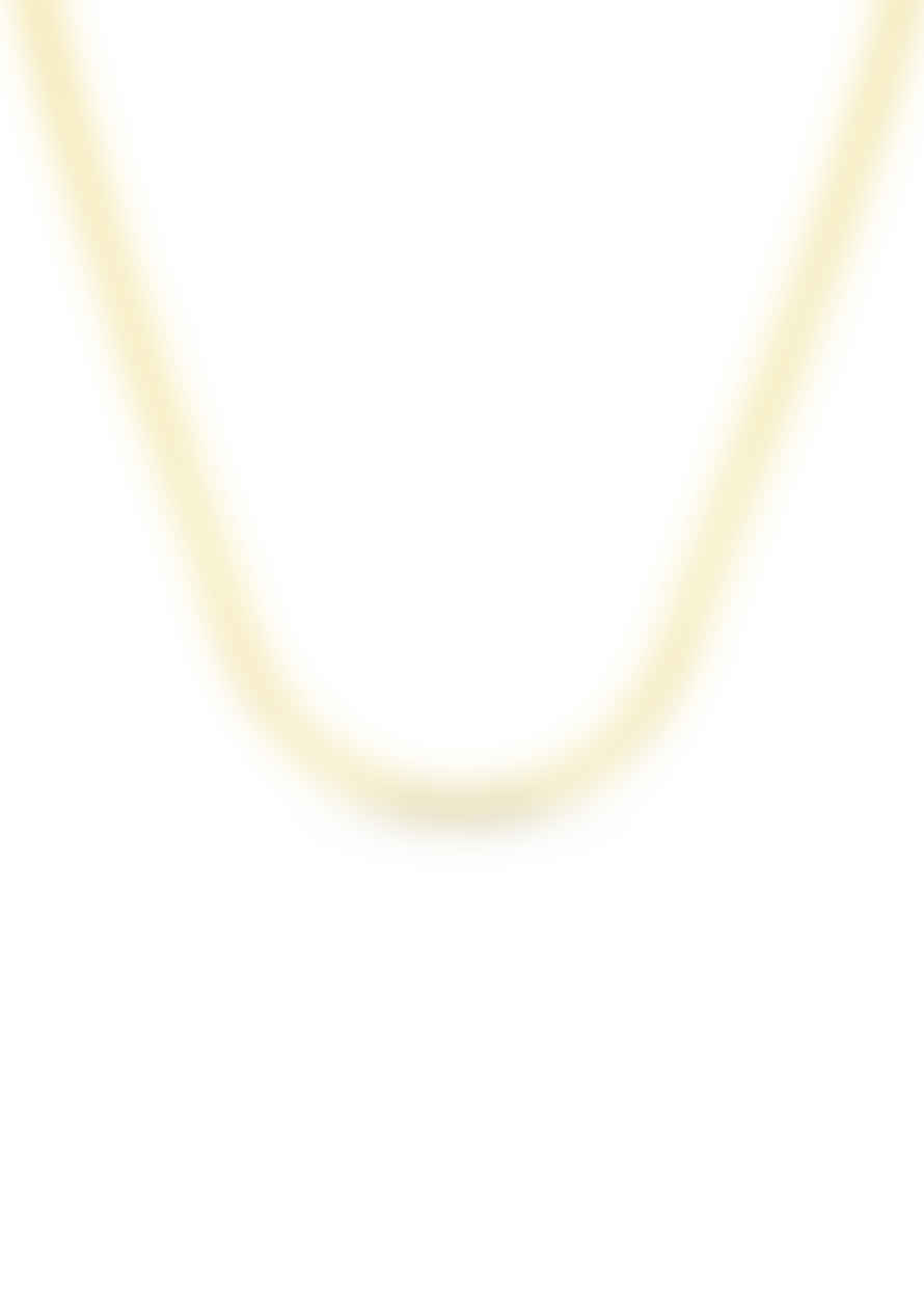 Orelia Flat Snake Chain Necklace