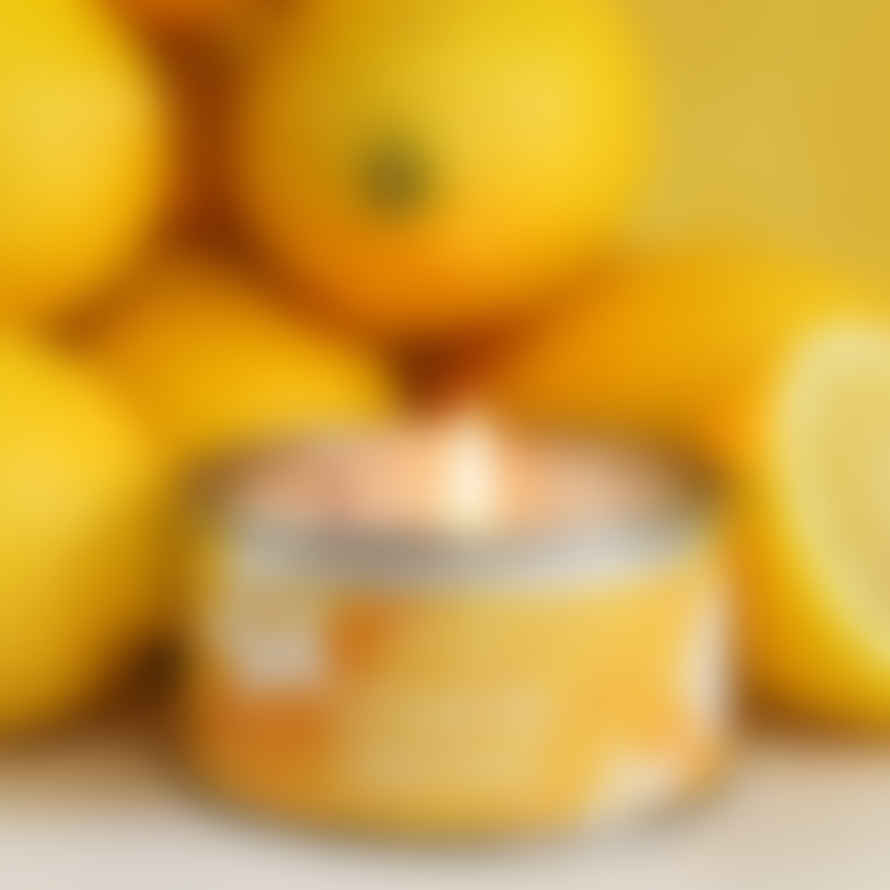 Pintail Candles | Avalon Home Lemon Grove Paint Pot