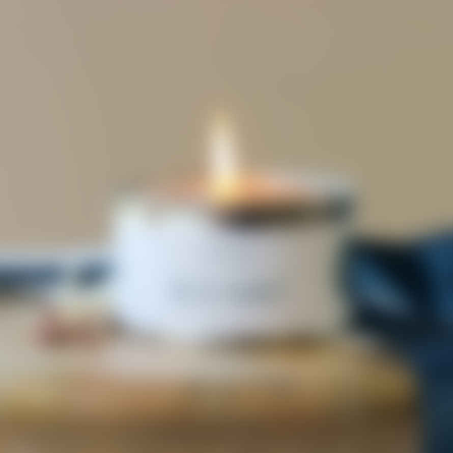 Pintail Candles | Avalon Home Sea Salt Paint Pot Candle