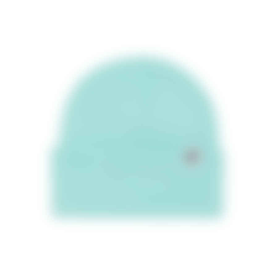 Plain Bear Tag Beanie